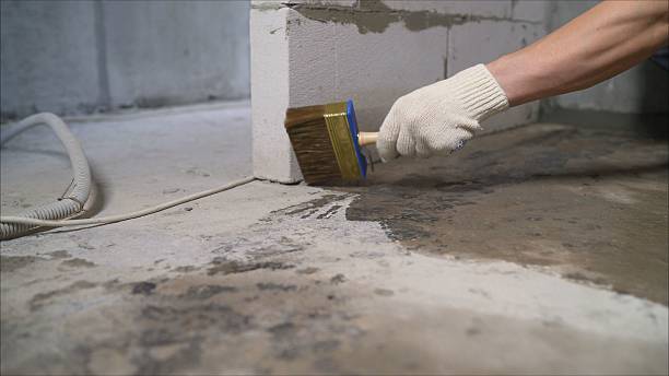 24/7 Emergency Waterproofing experts in Plantersville, AL
